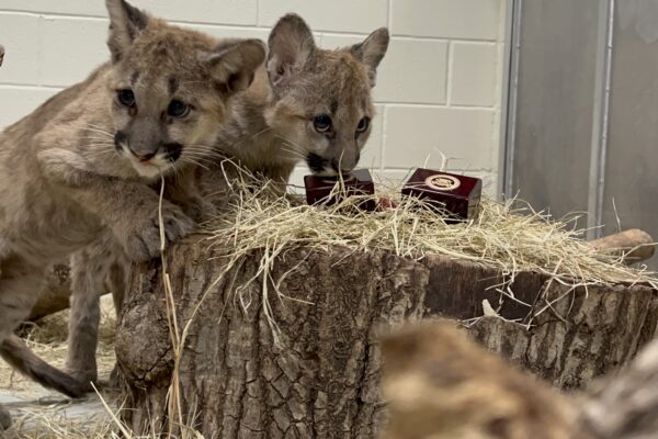 Welcome Home - The Houston Zoo