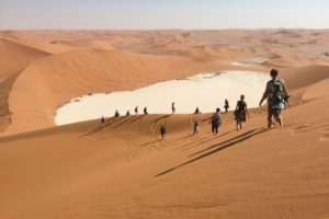 Life in the Dunes