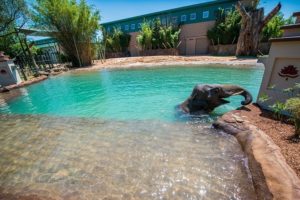 Conservation, Water Quality Style