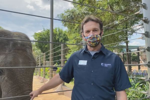 Bringing the Zoo to You - The Houston Zoo