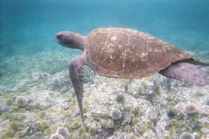 Amazon to Andes Field Course Inspires Youth to Save Wildlife