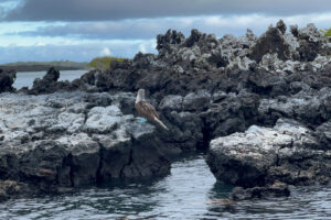 KPRC-2 Special – Galápagos Islands