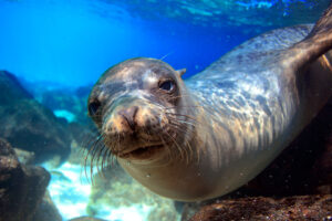 Galápagos Islands: Member Mornings