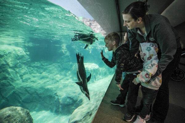 Zoo News Blog The Houston Zoo