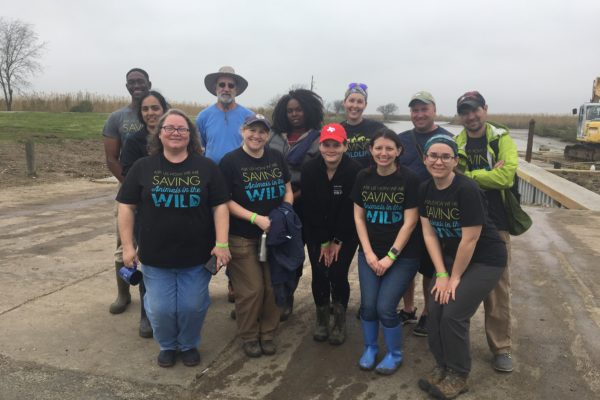 Houston Zoo Staff Head to the Coast to Save Local Wildlife