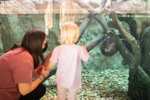 Water Wonders