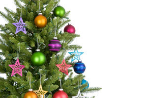 Christmas Treecycling