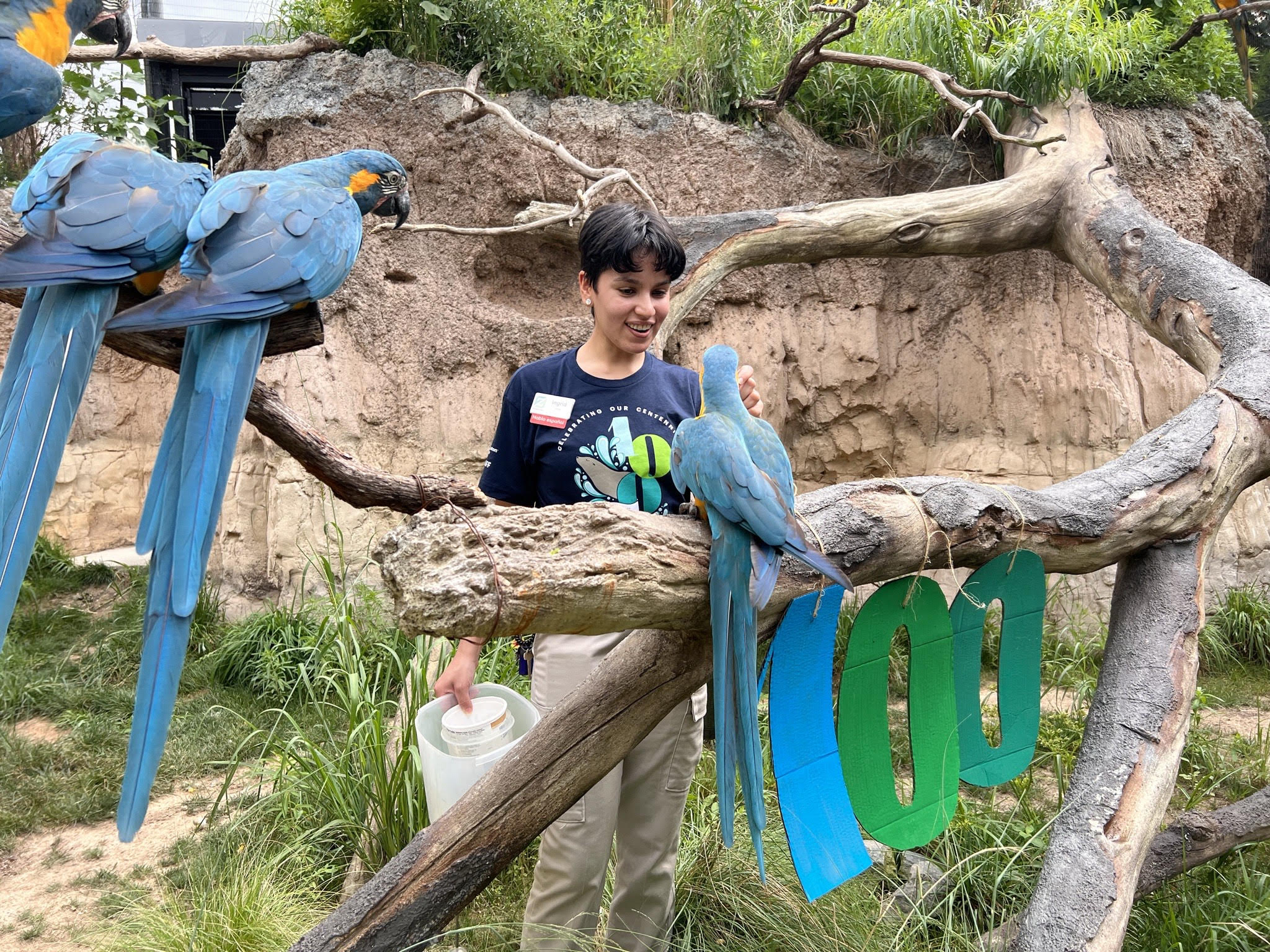 Meet Bird Keeper, Ingrid The Houston Zoo
