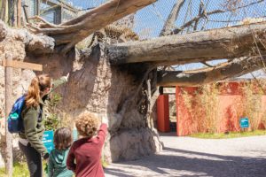 Spring Break Fun at the Zoo