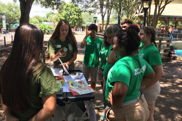 Guest Blogger: Jessica Jones – 2017 Collegiate Conservation Program Intern
