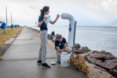 Zoo staff cleaning up trash at the surfside jetty