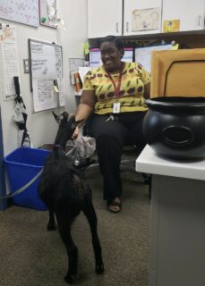 joann with goat in office