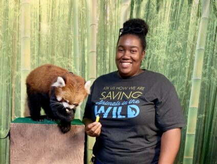 joann feeding a red panda