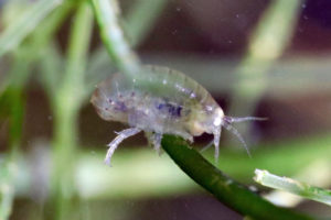 Water: The Science Beneath the Surface