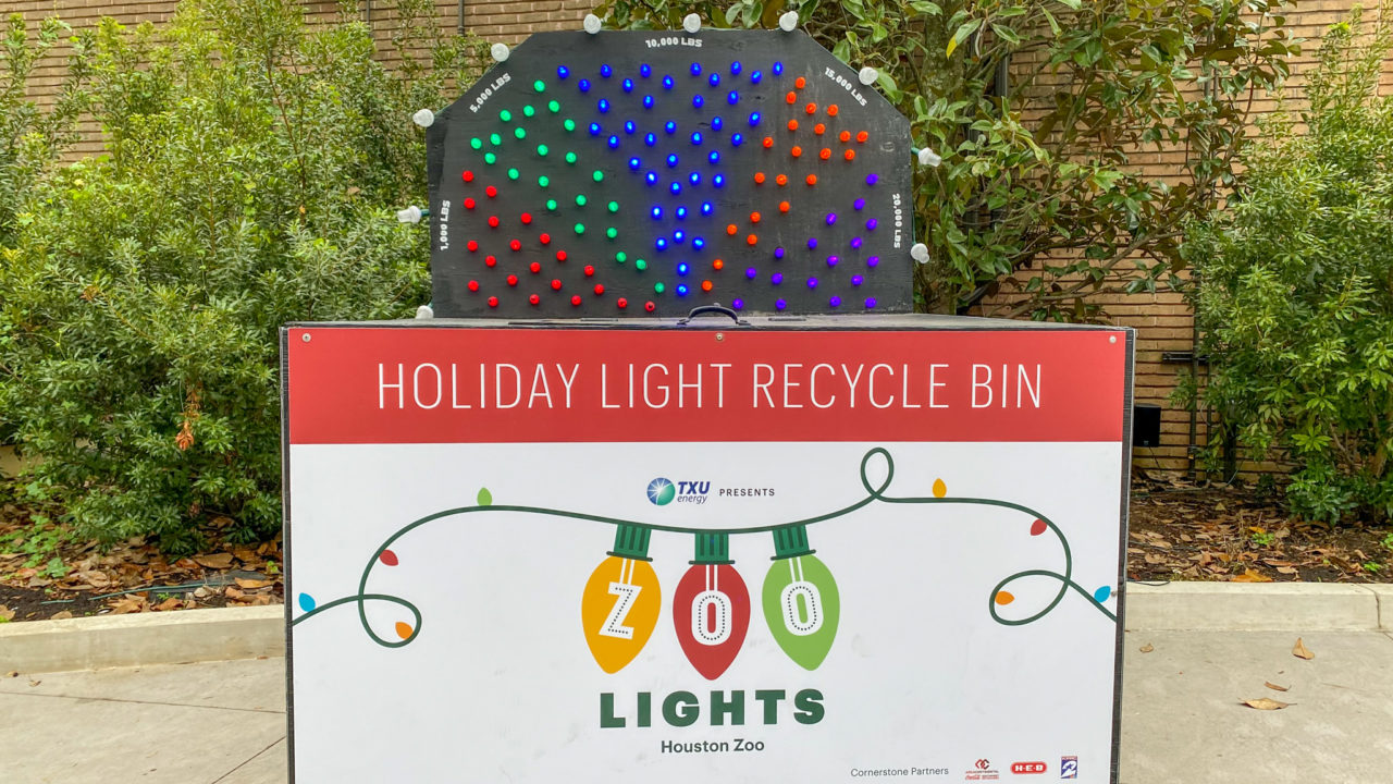 holiday light recycling collection bin outside of Zoo entrance