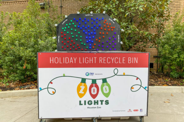Recycle Your Holiday Lights to Help Save Animals in the Wild