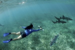 Anchors for the Ocean: Your Visit to the Zoo Helps Protect Marine Species around the Globe