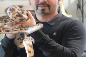 Our Snake Saving Leader in India is Nominated for a Prestigious International Wildlife Award