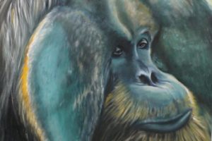 December’s Featured Member: Susan Spjut