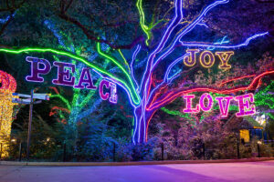 TXU Energy presents Zoo Lights