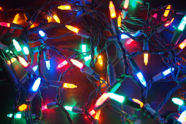 Houstonians are Saving Wildlife by Recycling Holiday Lights