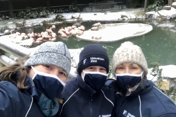 A Recap from the Winter Storm Ride-Out Crew