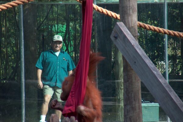 Celebrating 40 Years with Primates Keeper Ron