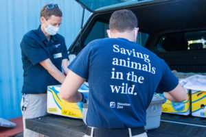 sea turtle rescue flight in galveston