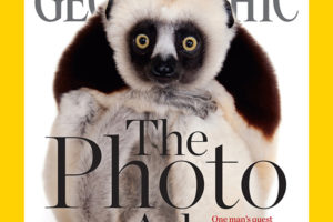 Our Lemur is Famous!