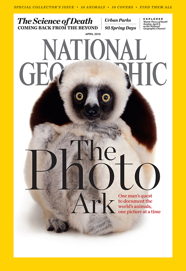 national geographic magazine cover animals