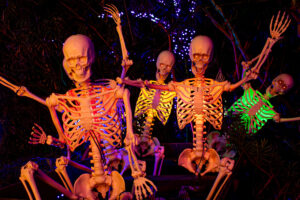 Spooky Spirits