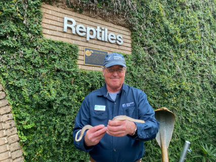 Stan posing outside with snake