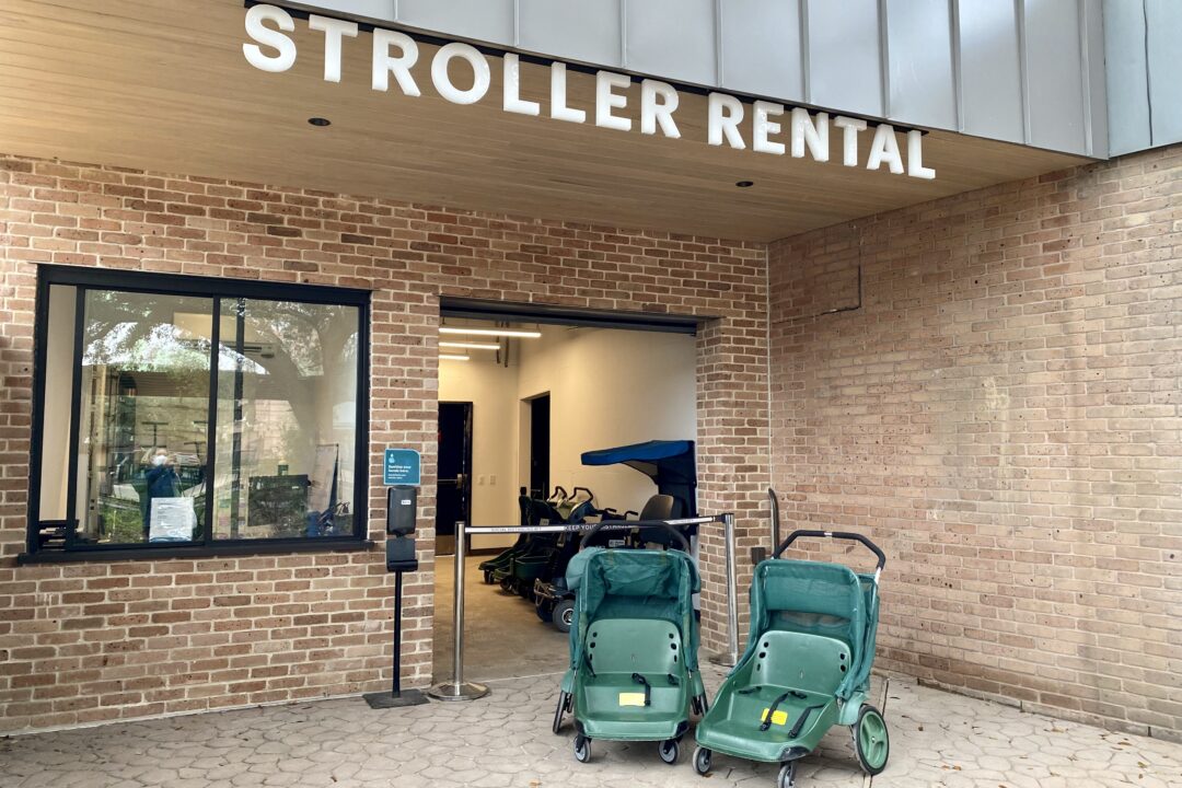 Zoo store stroller rental