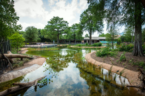 Texas Wetlands habitat at the Houston Zoo