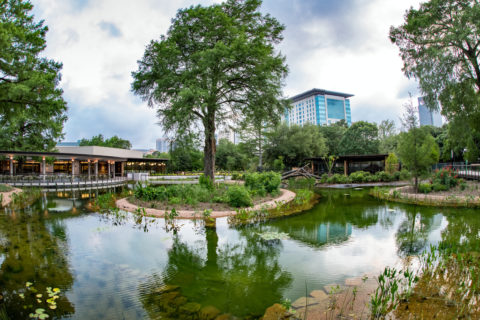 Texas Wetlands habitat at the Houston Zoo