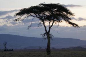 Zoo Employees: Expedition to Kenya Pt. 5