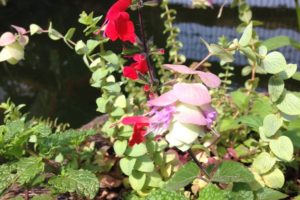 Water: The Science Beneath the Surface Part II
