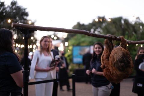 guest with Curly the sloth at Zoo ball