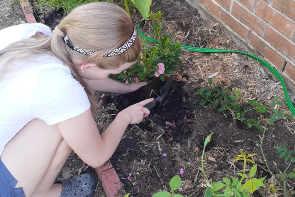 Houston Zoo Teens Create Wildlife-Friendly Spaces