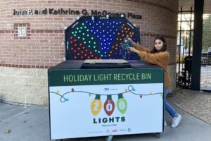 Save Animals in the Wild by Recycling Your Holiday Lights