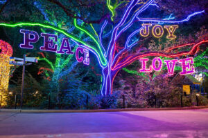 Sensory Inclusive Zoo Lights